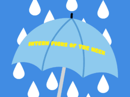 Intern Picks of the Week 3/30 – 1/3