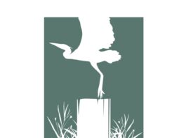 Harpeth Conservancy