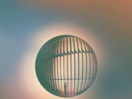 Daniel Ellsworth & The Great Lakes High Life