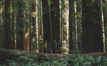 Gone Gone Beyond & Moontricks "Coast"