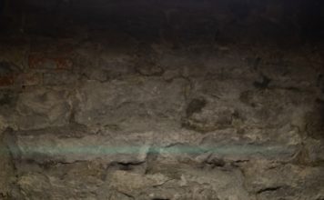 See Monkey – Elvis Perkins: DJ Pick of the Week