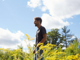fleet foxes shore album debut