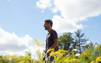 fleet foxes shore album debut