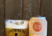 Offshoot Experimental Hazy IPA