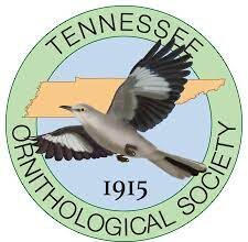 Tennessee Ornithological Society – Community Corner