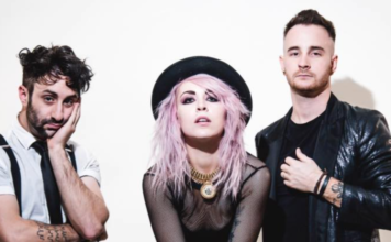 The Foxies – Timothée Chalamet: Local Artist of the Week