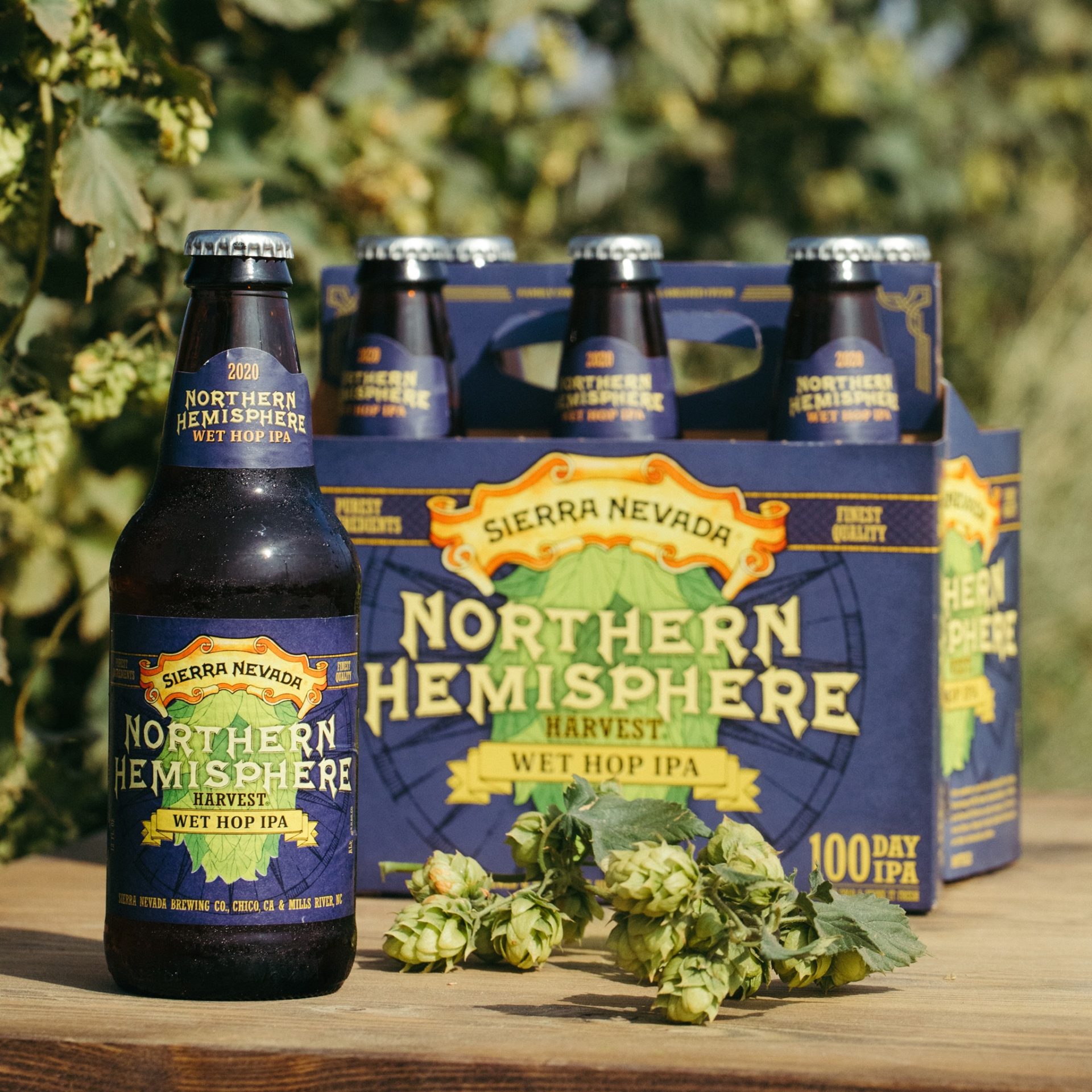 Hoptober 2020 Day 8: Sierra Nevada Northern Hemisphere Harvest Wet Hop ...